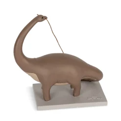 Konges Sløjd Børneværelse|figur til fødselsdagstog brachiosaurus - multi