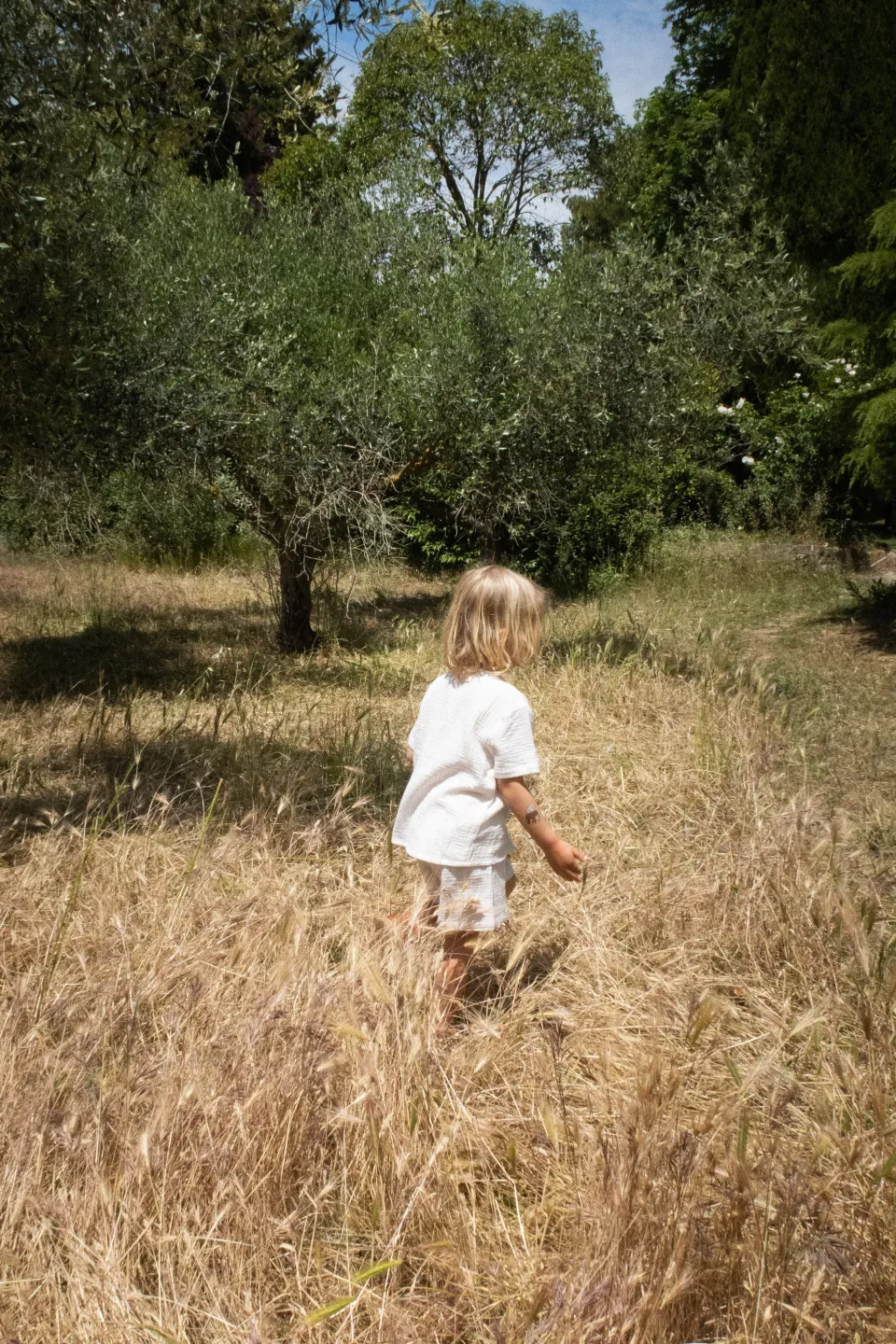 Konges Sløjd Underdele|olive shorts - PURE CASHMERE purecashmere
